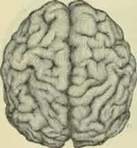 Keep your brain young by doing Pilates!